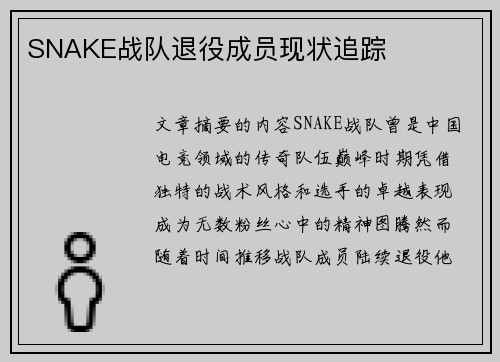 SNAKE战队退役成员现状追踪
