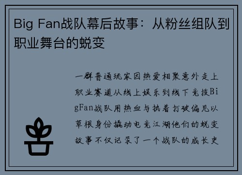 Big Fan战队幕后故事：从粉丝组队到职业舞台的蜕变